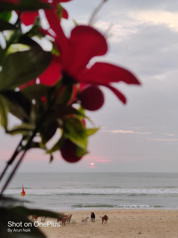 Happy Shack Beach And Wooden Huts 콜바 외부 사진
